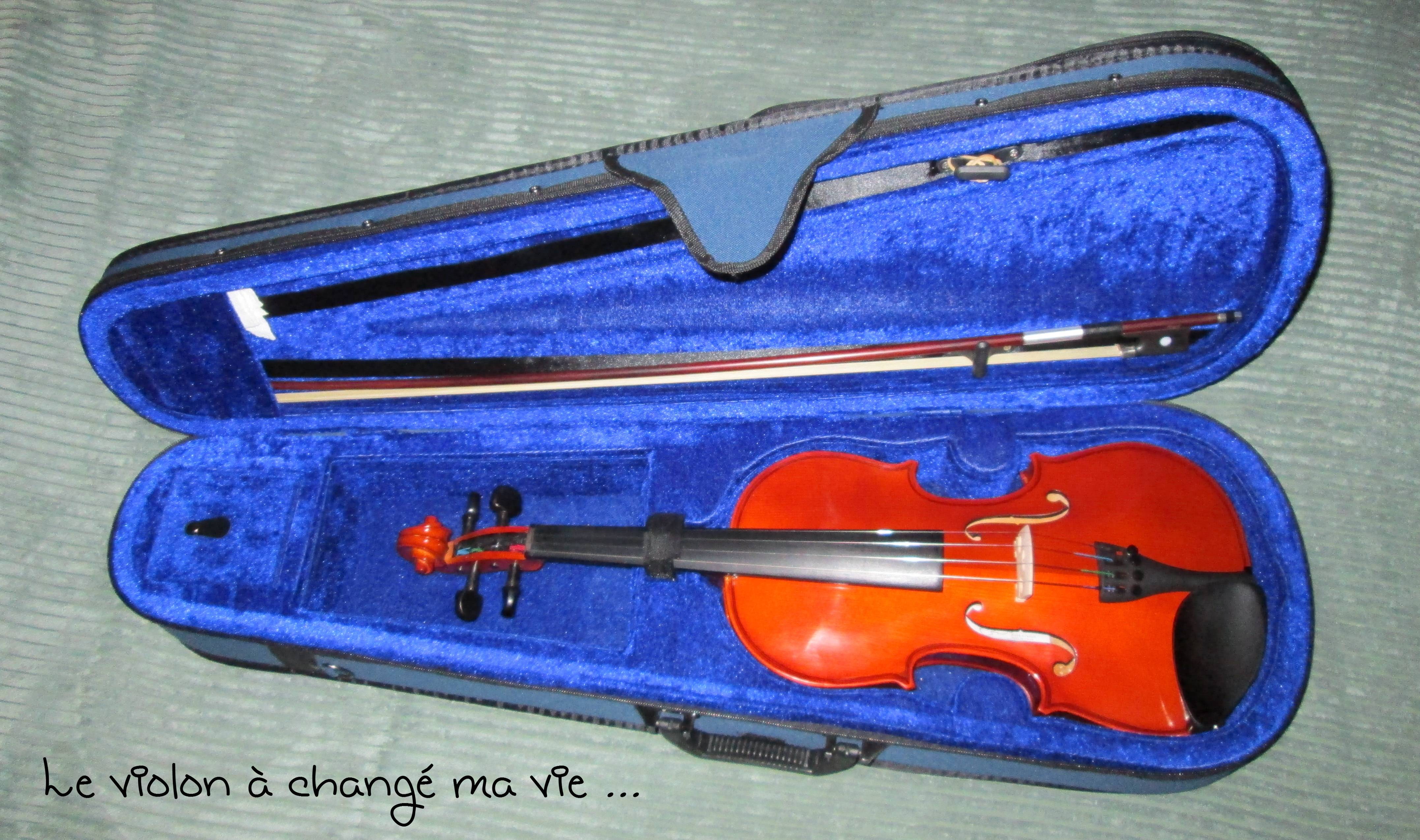 Thomastik-Infeld TH-135 Dominant jeu de cordes pour violon 4